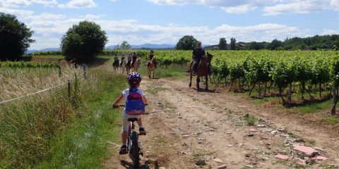 Balade à vélo en Famille