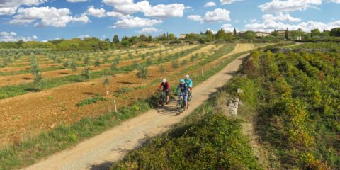 Wine tourism at Le Mas du Terme