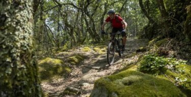 Les Cévennes, de la Lozère à l’Ardèche