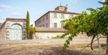 Randonnée Oenotourisme - Château des Lèbres